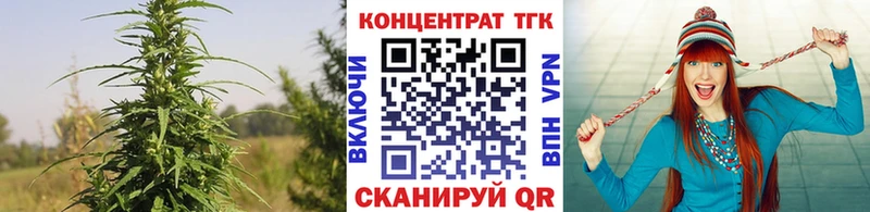 Купить закладки  Адыгейск  Дистиллят ТГК THC oil 